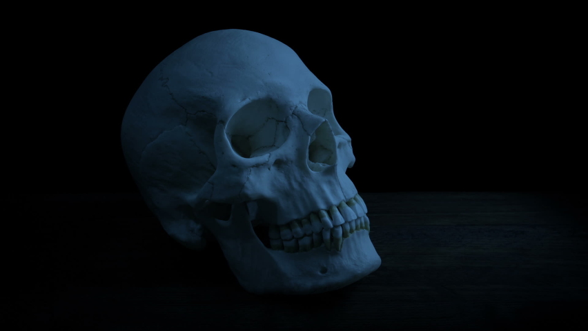 Human Skull On Table In The Dark | Shutterstock HD Video #1060098347