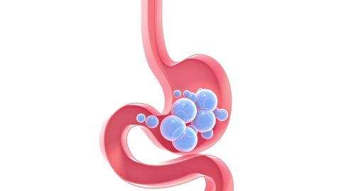 3D animation of the schematic interior of the human stomach with gases. Empty flat illustration, silhouette isolated on white background with vivid colors.