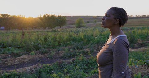 Portrait of black African emerging female farmer looking at vegetables in her vegetable garden
