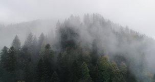 aerial shot of a beautiful foggy forest in the alpine mountains of switzerland. High quality 4k footage