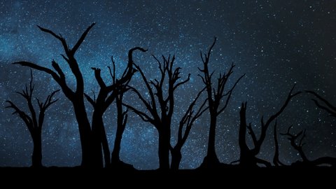 Deadvlei by Night: Time Lapse with Stars, Milky Way and Dead Trees in Silhouette, Sossusvlei, Namibia Desert