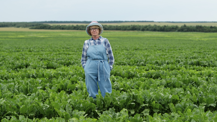 Woman In Glasses And Hat Stands On The Field. Around Her Are Green Beet Leaves. She Is Worker Or Farmer Looking At Her Plants. She Keeps Her Hands In Her Trouser Pockets And Looks.