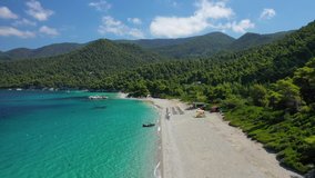 Aerial drone video of tropical exotic paradise secluded sandy beach covered in rare pine trees
