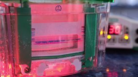 A device for conducting vertical electrophoresis, the selection of small bubbles in the buffer. Separation of protein molecules by electrophoresis. - Powered by Shutterstock - Get 15% off with code: PIKWIZARD15