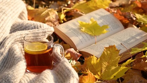 book lies on leaves next to cup of tea