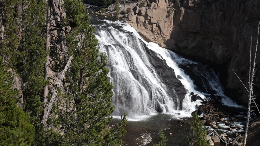 Gibbon Falls in Yellowstone National Park from viewpoint above the river.