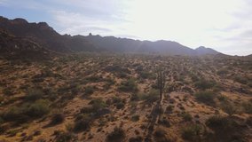 Desert wilderness  flying over Saguaro Cactus tree backlit by setting sun.  Toms Thumb, McDowell Mountains, Scottsdale,Arizona,USA - Powered by Shutterstock - Get 15% off with code: PIKWIZARD15