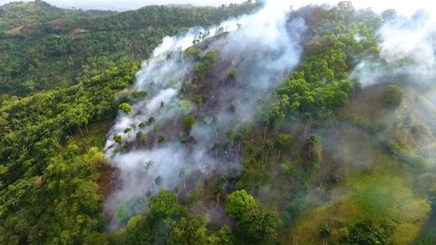 Aerial view of Rainforest deforestation, forest fire burning and smoking, in the Jungle of Sumatra, in Indonesia, sunny day, in Asia - tracking, drone shot
