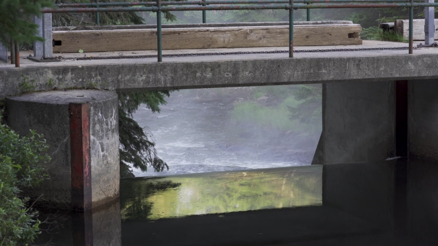 River Rapids Below A Dam Spillway In Algonquin Park, Scenic Nature Landscape