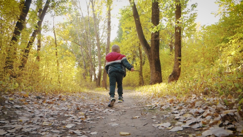Happy baby boy running in autumnal park. Little child playing on autumn walk. Autumnal forest with golden leaves. Steadicam video, 4K slow motion.
