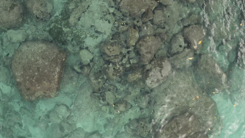 A beautiful girl with a slender figure lies on a rock near the coast in the Indian Ocean