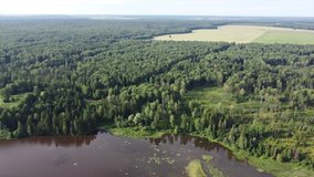 Aerial video shooting with a lush summer landscape with a view of the river and pine forest. An incredibly beautiful background with Russian nature. Pudga village, Udmurt Republic, Russia.