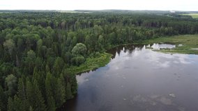 Aerial video shooting with a view of the lush summer Russian landscape with a coniferous forest and a river flowing in a green valley. Village 