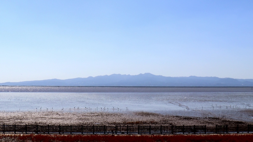 Saga City, Saga Prefecture, Japan. Scenery of higata yoka  Park. Ramsar Convention Wetlands.