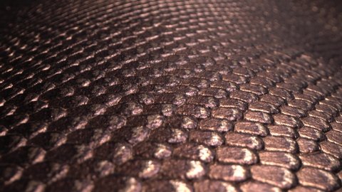Rainbow Snake Leather Hides //// Genuine Leather //// Metallic Colorful Snake Print