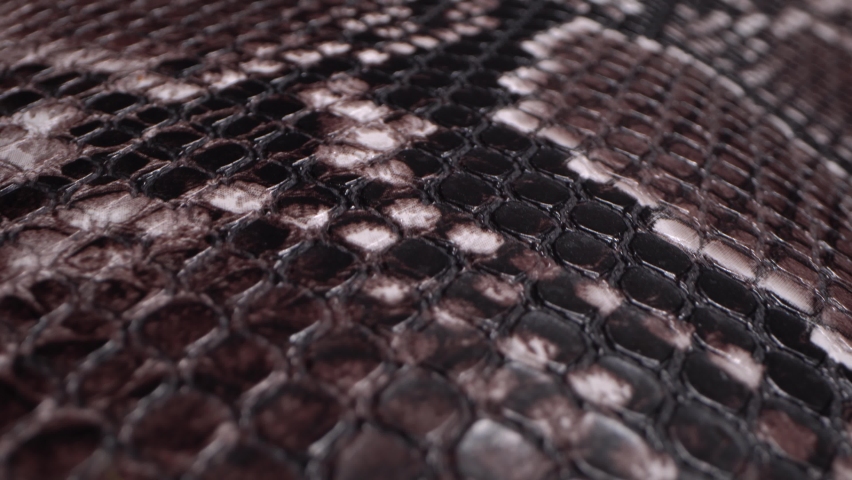 A snake's skin. Exotic Leather Hides. Real leather texture very close up. Natural pattern. Fashion and clothing industry, Bags, belts and shoes, Leather upholstery furniture Royalty-Free Stock Footage #1060161272