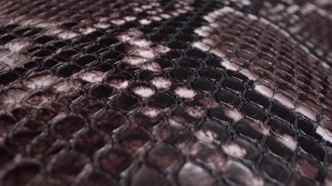 A snake's skin. Exotic Leather Hides. Real leather texture very close up. Natural pattern. Fashion and clothing industry, Bags, belts and shoes, Leather upholstery furniture