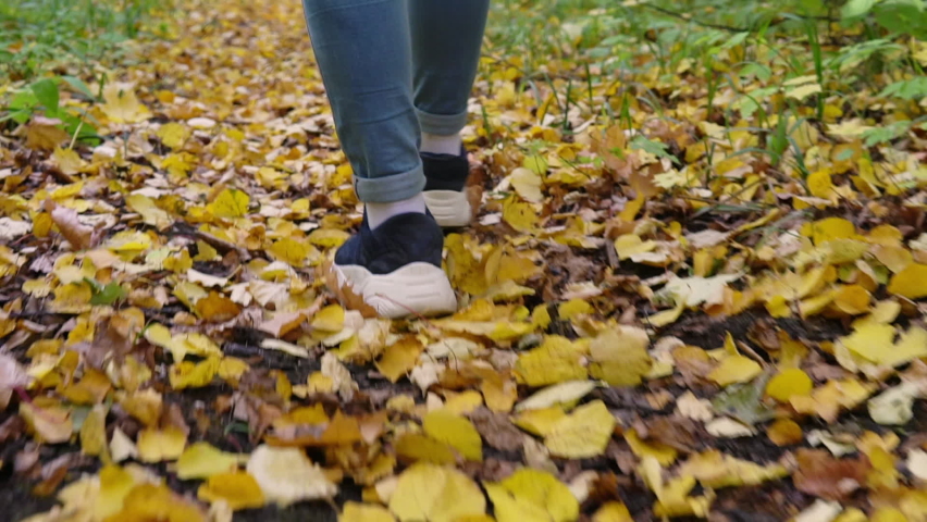 Close up of female feet. Walk in the forest trail of fallen autumn leaves