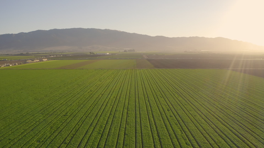 Aerial shot of farm in Salinas Valley, CA.