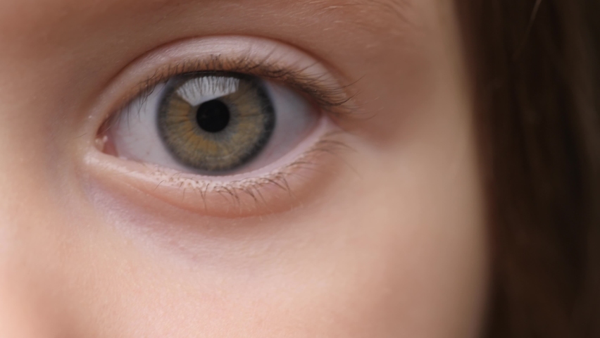 Child's Eye Close Up. Little Girl Looking Into the Camera. Focused Eye of Cute Baby Girl. Attractive Enthusiastic Eyes Child. Concept of Childhood, Youth, Kids Protection, Memories. Extreme Close-Up | Shutterstock HD Video #1060177835