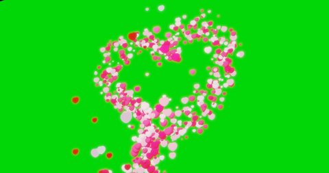 Cute hearts animation on chroma key. Many multicolor pink red white hearts draw the shape of the heart. Valentine's Day, festive effect,floating hearts