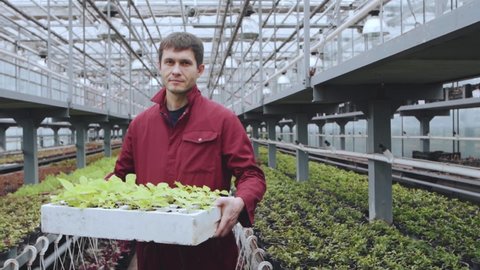 Portrait of a male worker in a greenhouse with a basket of seedlings.