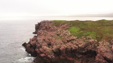 Aerial drone flys forwards over a small rocky island covered with seabirds, ocean crashing below in Newfoundland Canada.