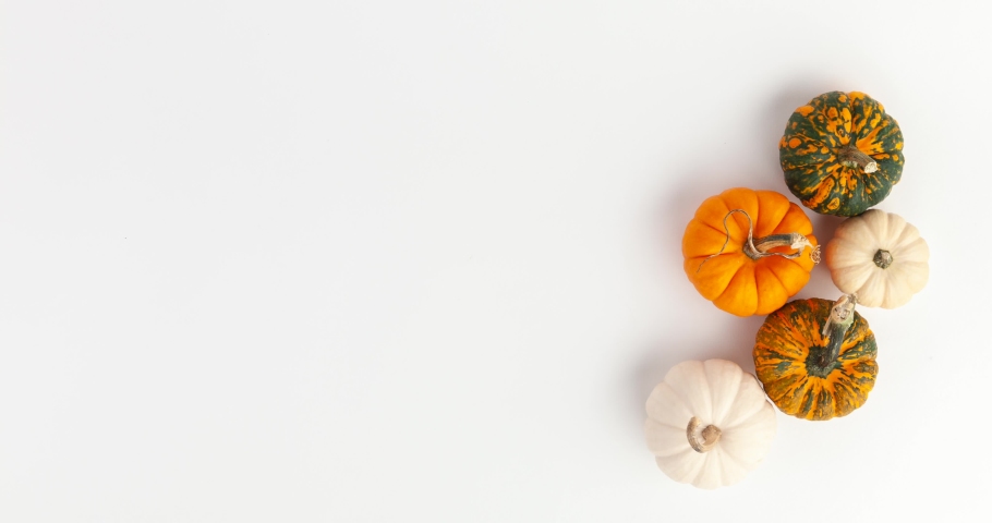Decorative Fall, Halloween, and Thanksgiving pumpkins and gourds on white background with copy space playfully spin into frame and settle. 4K Stop motion animation | Shutterstock HD Video #1060187579