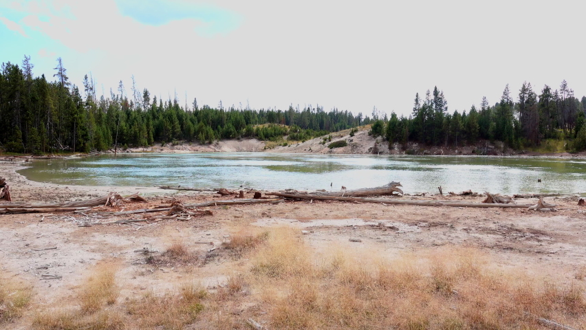 Driftwood and brown grasses fringe the shoreline of a pond in Yellowstone National Park.
