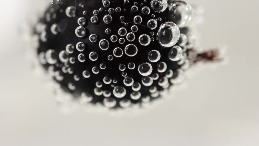 Black currant berry in sparkling water close-up. | Shutterstock HD Video #1060207484