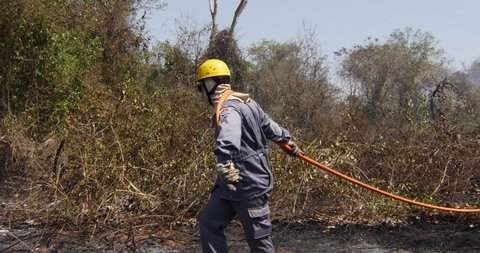 SAO PAULO, BRAZIL. Circa September 2020: Fireman Extinguishing Burning Forest Emergency. Deforestation And Fire