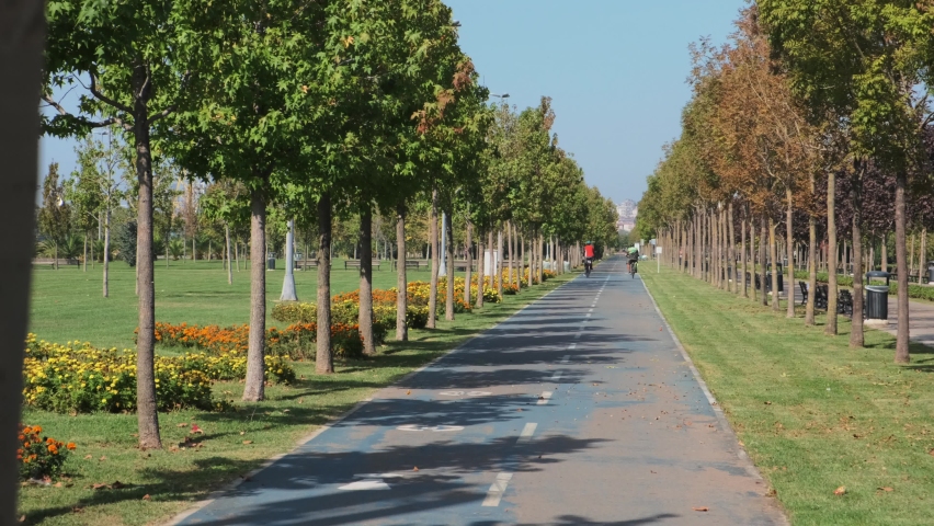 Cyclists who ride on a bicycle path in nature and trees in a closed area
