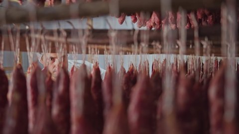 Meat factory. Quality control. Specialist butcher checks smell and condition of smoked sausage sticks. Smokehouse. production line of sausages.