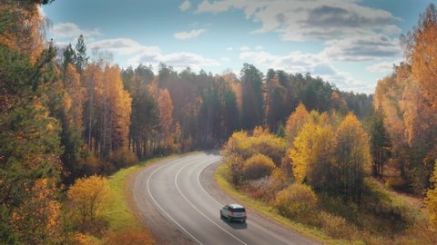 Cars travelling on remote curvy highway road in beautiful yellow autumn forest landscape, aerial view, camera ascending up high. 4K UHD.