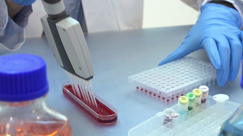 PCR genetic research in laboratory