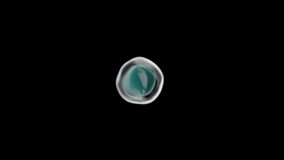 A cell splitting in multiple cells and 'pop' - Powered by Shutterstock - Get 15% off with code: PIKWIZARD15