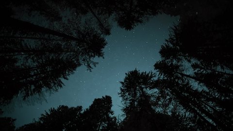 A starlapse in the woods of the midwest.