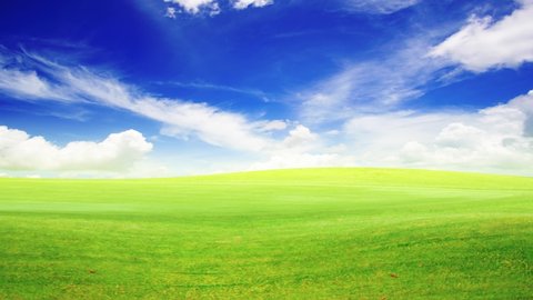 Green Grass Field On Small Hills Stock Photo 559725304 Shutterstock Green Grass Field On Small Hills Stock Photo 559725304 Shutterstock
