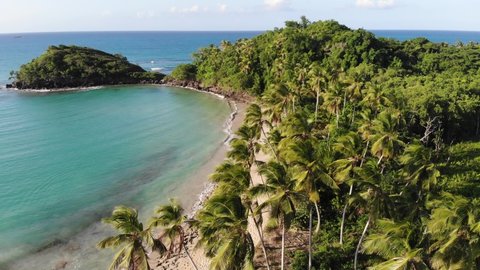 4K aerial drone sideways fly over the paradise beach with sandy and rocky shore, palm trees and blue water of Atlantic ocean, Las Terrenas, Samana, Dominican Republic