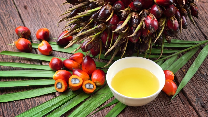 Fresh palm oil fruits and cooking palm oil on a palm leaves in wooden background Royalty-Free Stock Footage #1060258529