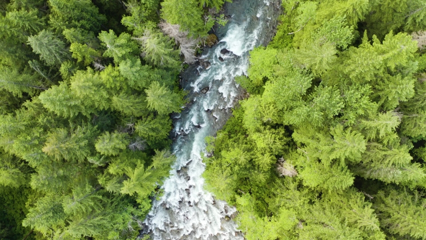 Birds Eye Top Down View of Natural Winding River in Green Forest. Straight Down | Shutterstock HD Video #1060265657