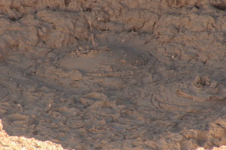 NTSC: Mud pot in Yellowstone
