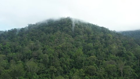 View from above, stunning aerial view of a tropical rainforest with clouds and water vapor released by trees during the day. Taman Negara National Park, Malaysia.