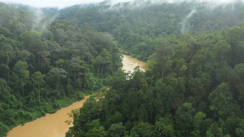 View from above, stunning aerial view of a tropical rainforest with the Sungai Tembeling River flowing through. Taman Negara National Park, located in Malaysia is one of the world's oldest rainforest.