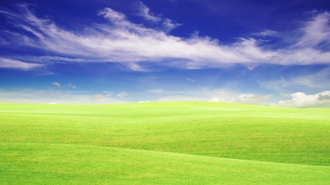 Green Grass Field On Small Hills Stock Photo 559725304 | Shutterstock