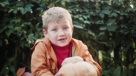 Portrait of little boy with pumpkin for Halloween. Child waiting Halloween.
