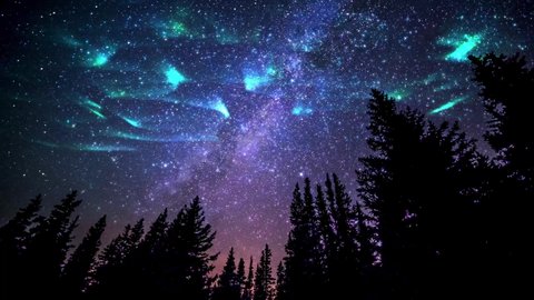 Aurora borealis Northern Lights Simulated Night sky milky way galaxy starry sky time-lapse from the shining stars Aurora borealis Northern and jungle at night under starry stars.