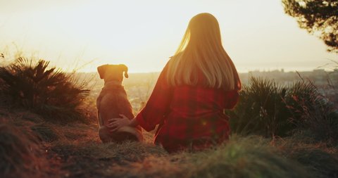 Back view of female enjoying beautiful summer sunrise pet lovely happy dog outdoors, incredible viewing park nature place sunset pleasant moment of owner with puppy, healthy lifestyle concept