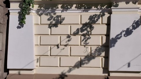 Elegant beige stucco wall with white columns and shadows of climbing plant branches. Classical architecture details of building in European city. Pan 4K video, camera moves right – Stockvideo