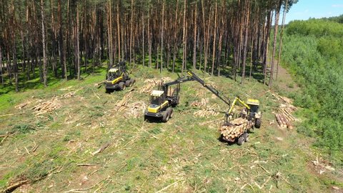 Forestry machine harvester cutting trees	